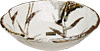 Click here for more details